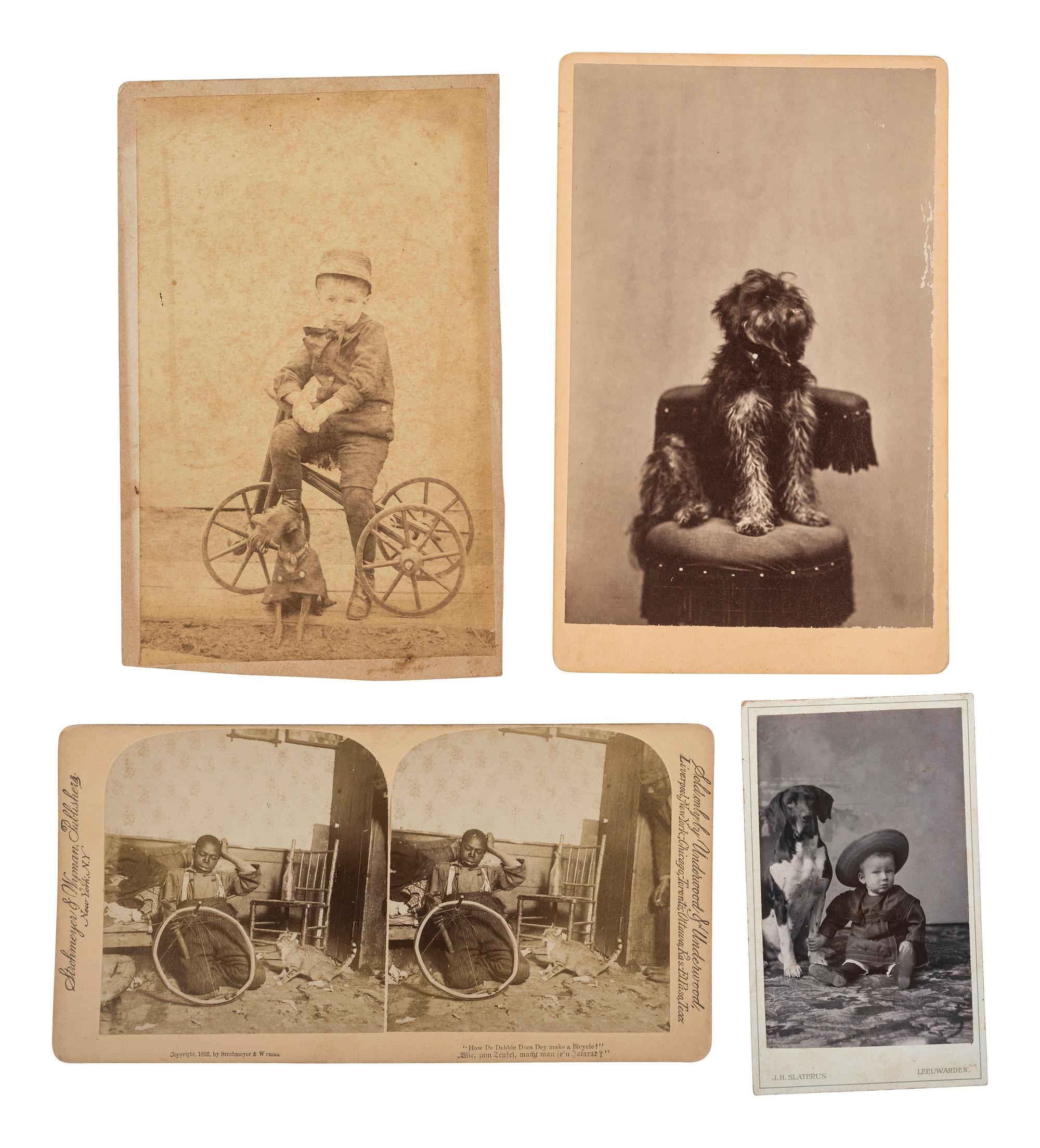 [EARLY PHOTOGRAPHY - ANIMALS]. An assorted group of 12 portraits featuring dogs and cats.