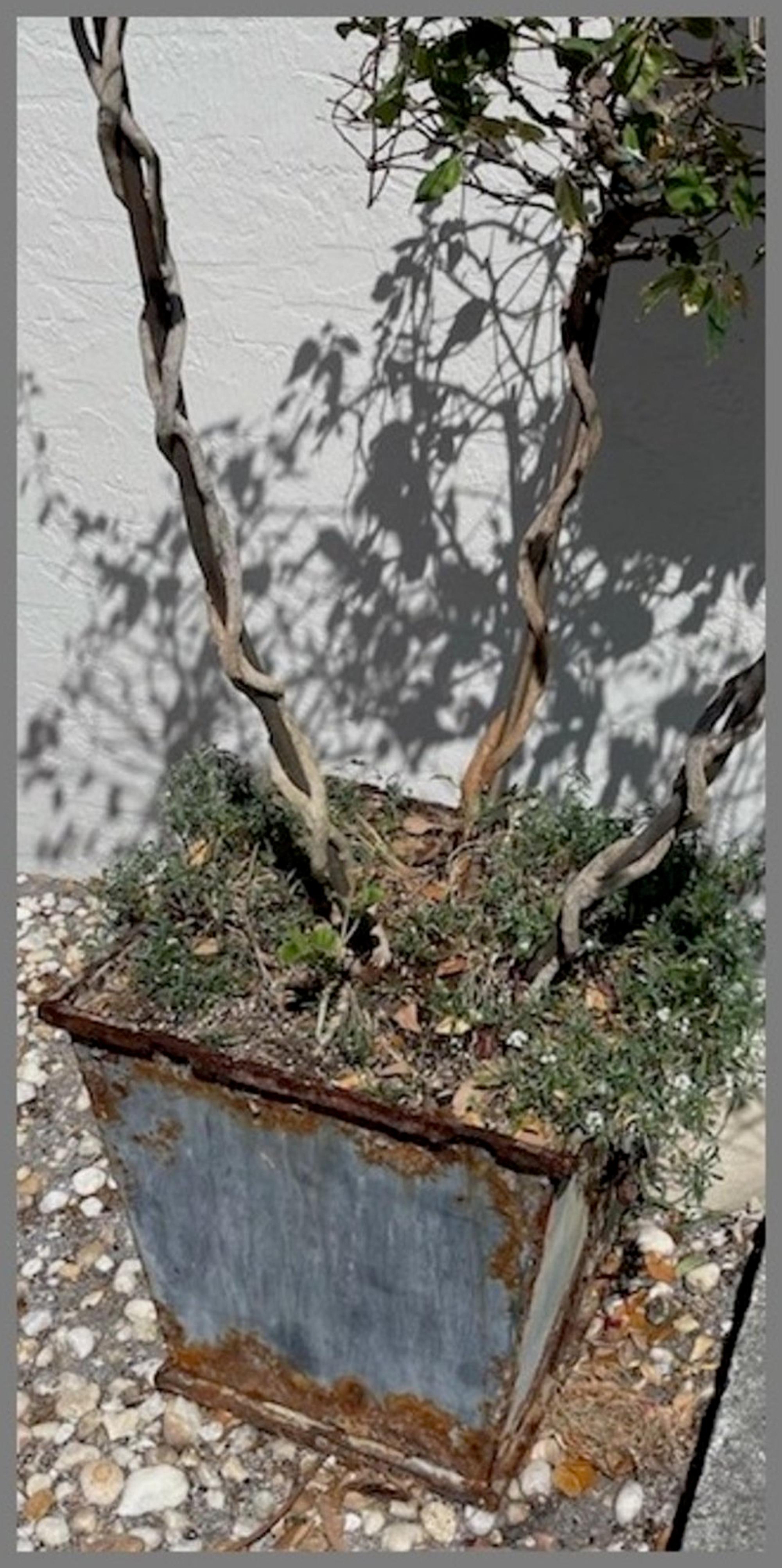 A Pair of Large Regency Style Iron Framed Zinc Planters with Ring Handles