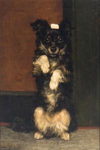 Very Good Boy
