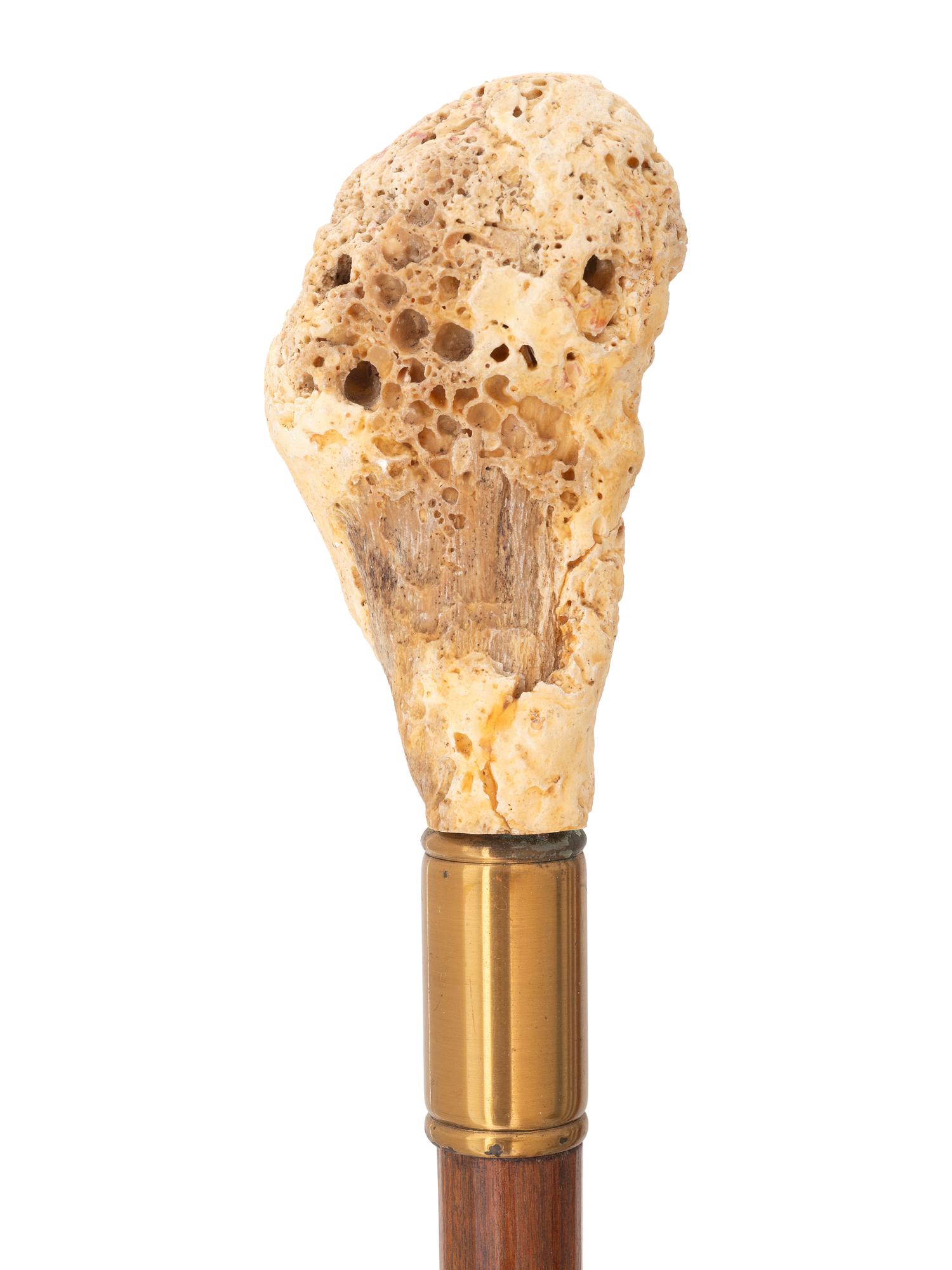 Four Walking Sticks
