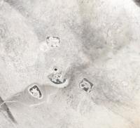 Five George III Silver Salt Cellars