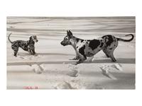 A Group of Four Works depicting dogs, 1958-65; printed ca. 1958-65
