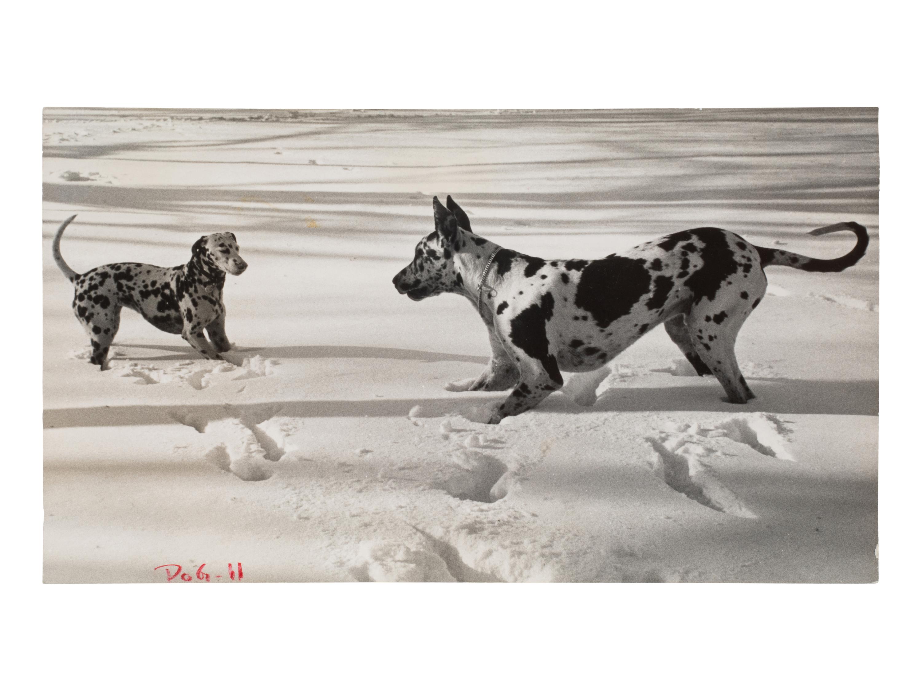 A Group of Four Works depicting dogs, 1958-65; printed ca. 1958-65