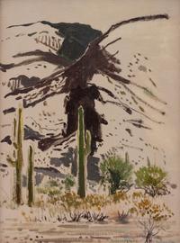 Saguaro, Cactus, & Palms
