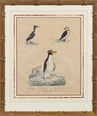 A Set of Eight Animalier Prints 16 3/4 x 13 1/2 inches. — 19TH CENTURY