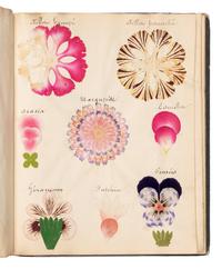 [SPECIMEN ALBUM - ARTIFICIAL LEAVES AND FLOWERS]. Collection of artificial leaves and flowers. [France, ca 1880?].