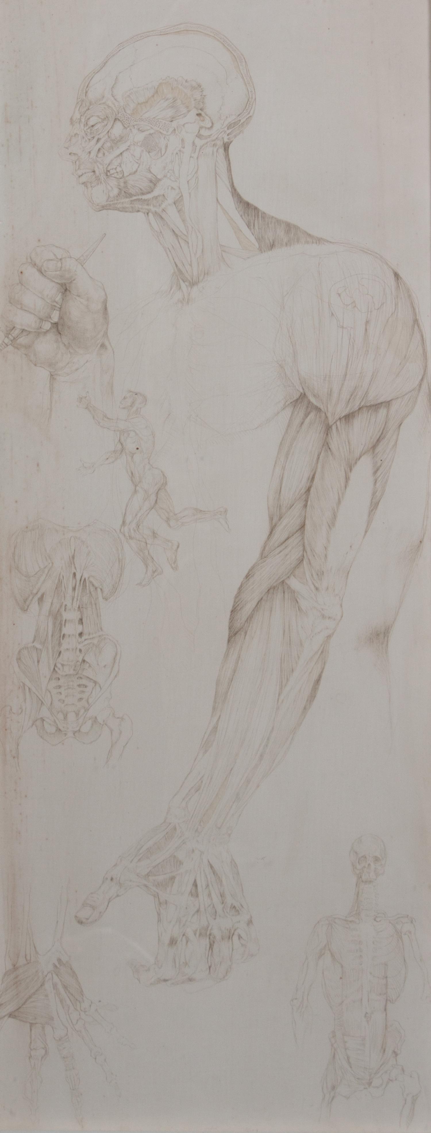 Don LaViere Turner, (Wisconsin, 1929-1997), Anatomical Studies for 'The Studio'