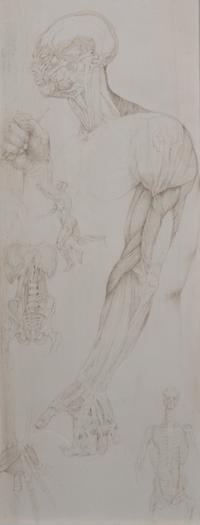 Don LaViere Turner, (Wisconsin, 1929-1997), Anatomical Studies for 'The Studio'