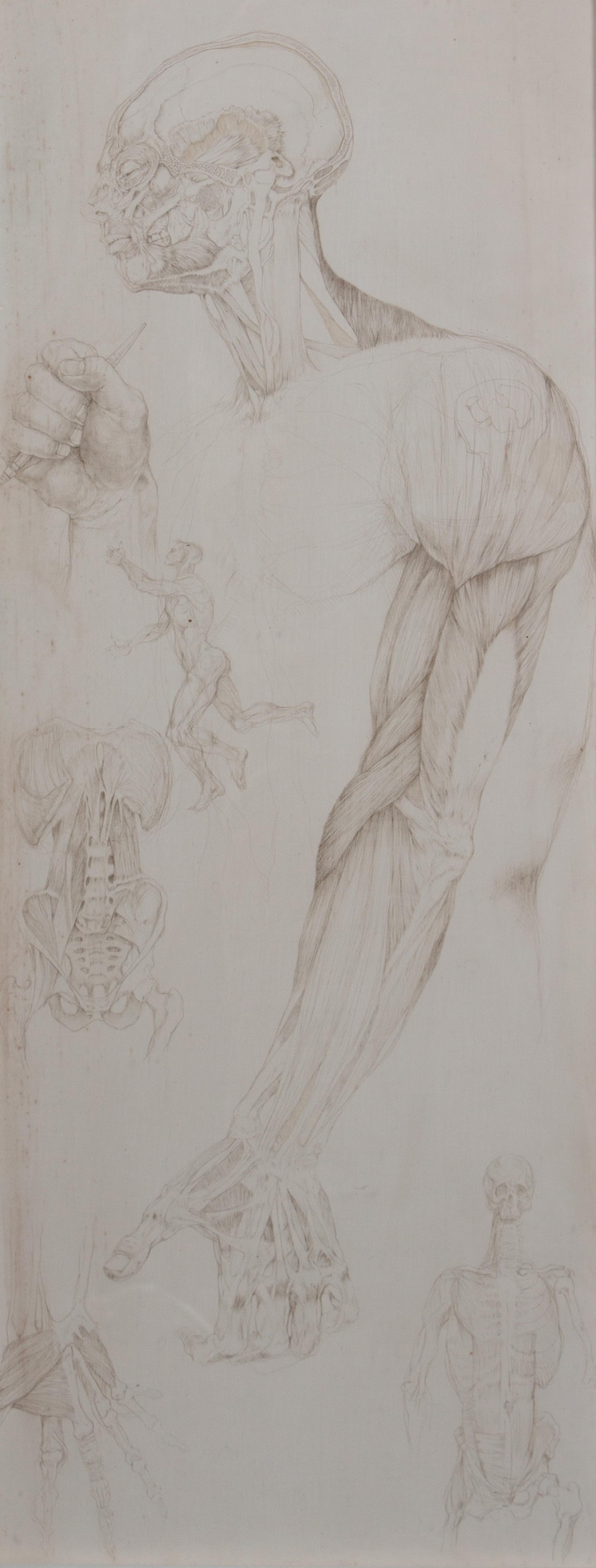 Don LaViere Turner, (Wisconsin, 1929-1997), Anatomical Studies for 'The Studio'