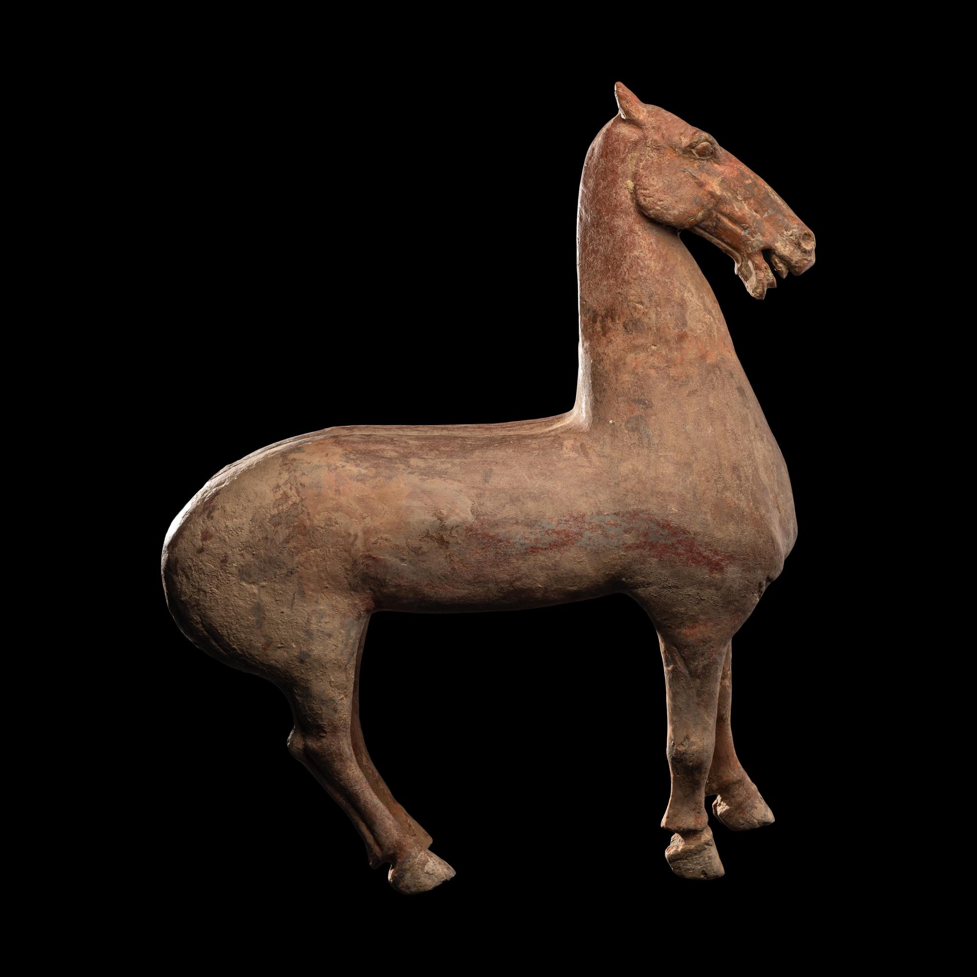 A Han Dynasty Horse