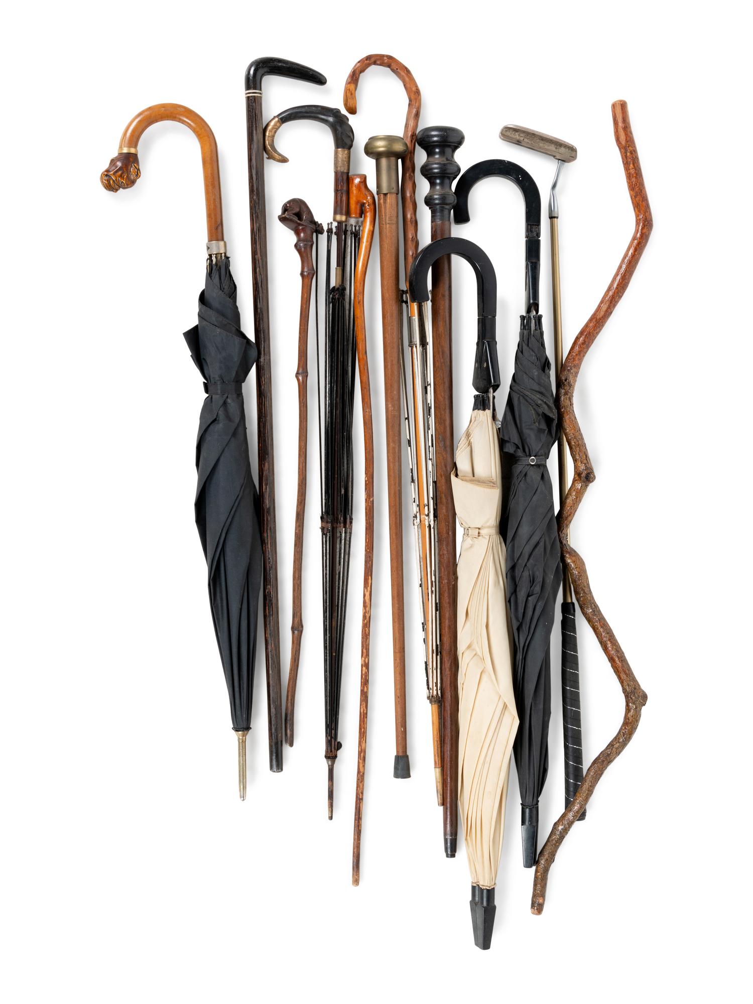 A Large Collection of Carved Canes and Walking Sticks