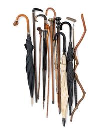 A Large Collection of Carved Canes and Walking Sticks