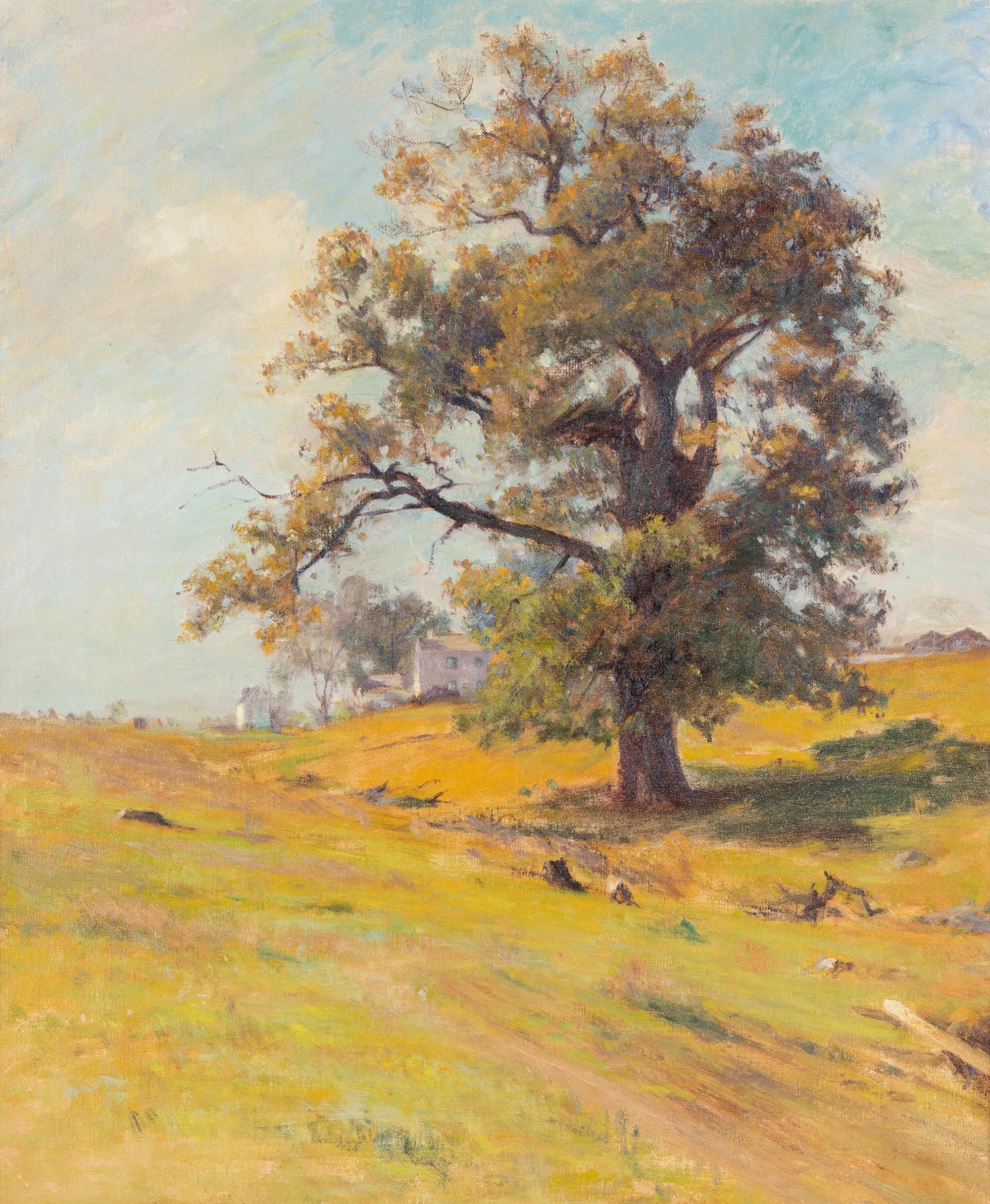 Near Chadds Ford