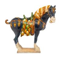 A Chinese Sancai Glazed Terracotta Model of a Horse