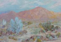 Southwestern Landscape