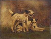 Anglo-American School 19th Century, A Portrait of Two Wire Haired Fox Terriers