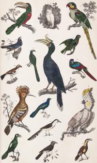 GOLDSMITH, OLIVER. A History of the Earth and Animated Nature. London, 1847. 2 vols.