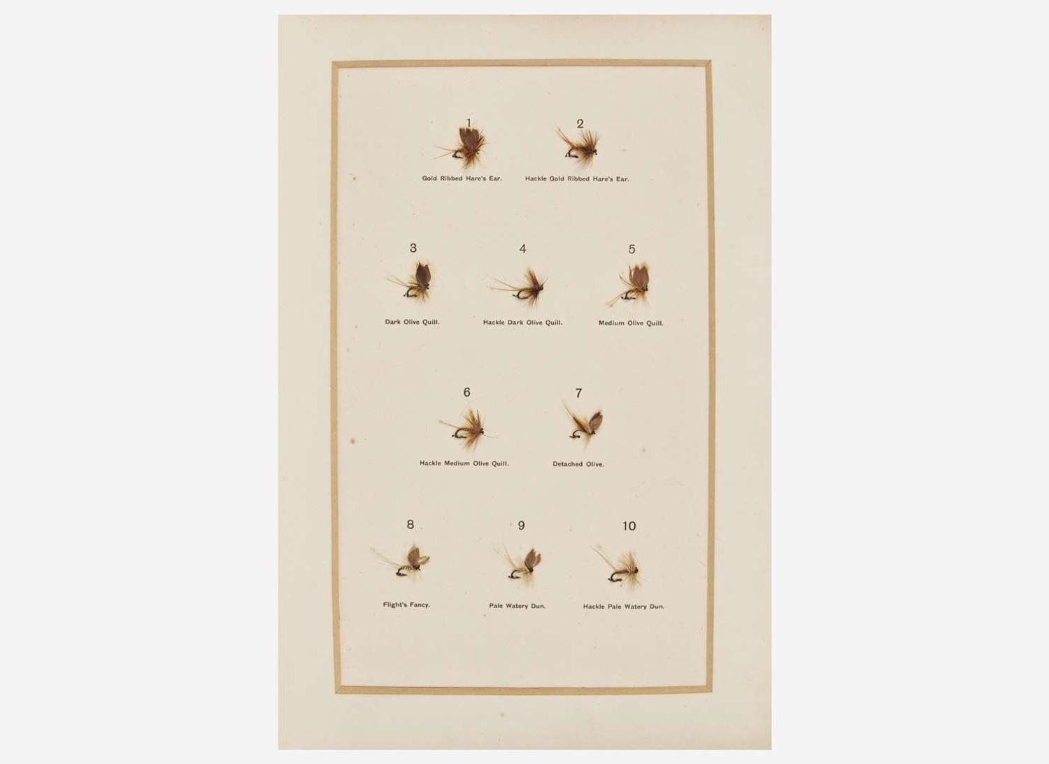 [Fishing] Halford, Frederic M: Dry Fly Entomology A Brief Description Of Leading Types of Natural Insects Serving as Food For Trout & Grayling...