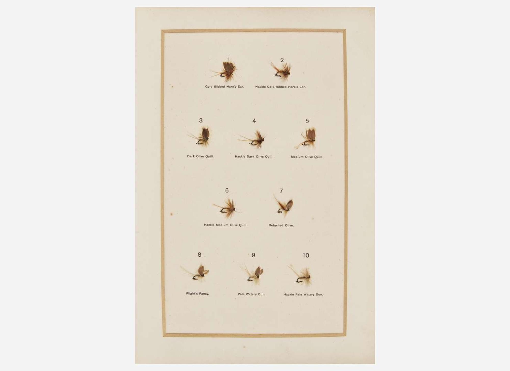 [Fishing] Halford, Frederic M: Dry Fly Entomology A Brief Description Of Leading Types of Natural Insects Serving as Food For Trout & Grayling...