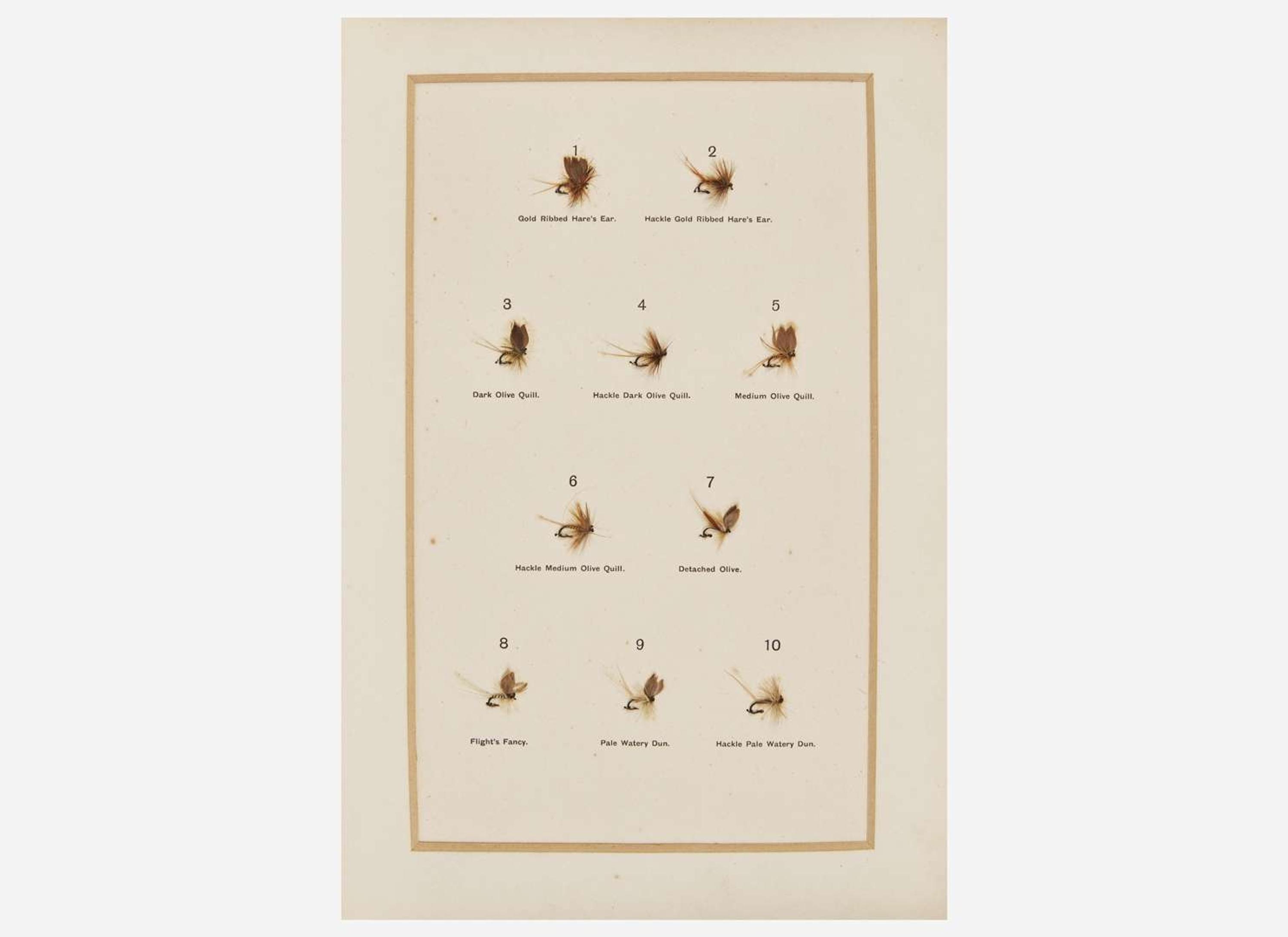 [Fishing] Halford, Frederic M: Dry Fly Entomology A Brief Description Of Leading Types of Natural Insects Serving as Food For Trout & Grayling...
