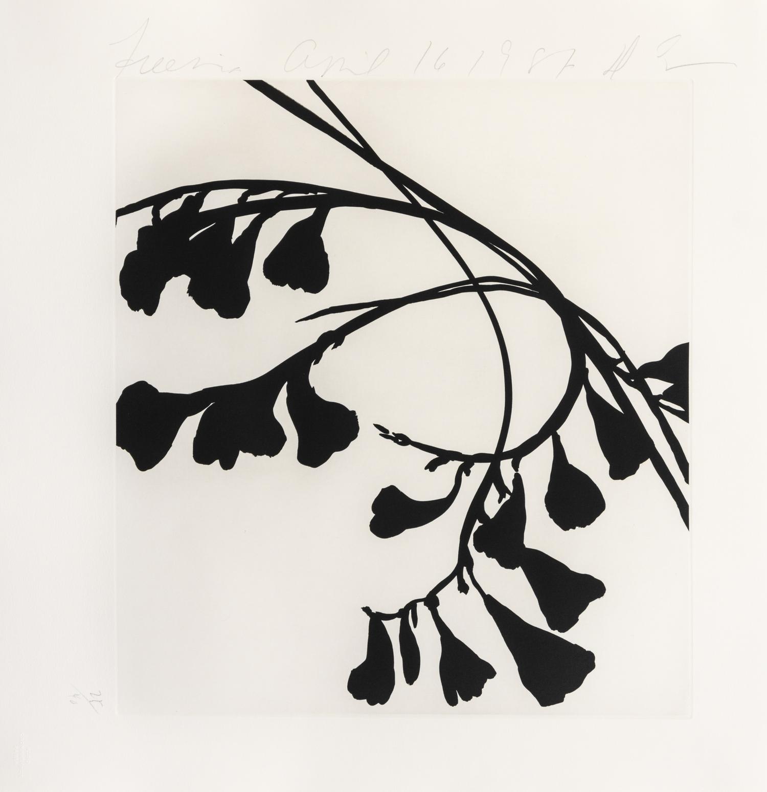 Donald Sultan, (American, b. 1951), Black Freesias, 1987 (portfolio of 6)