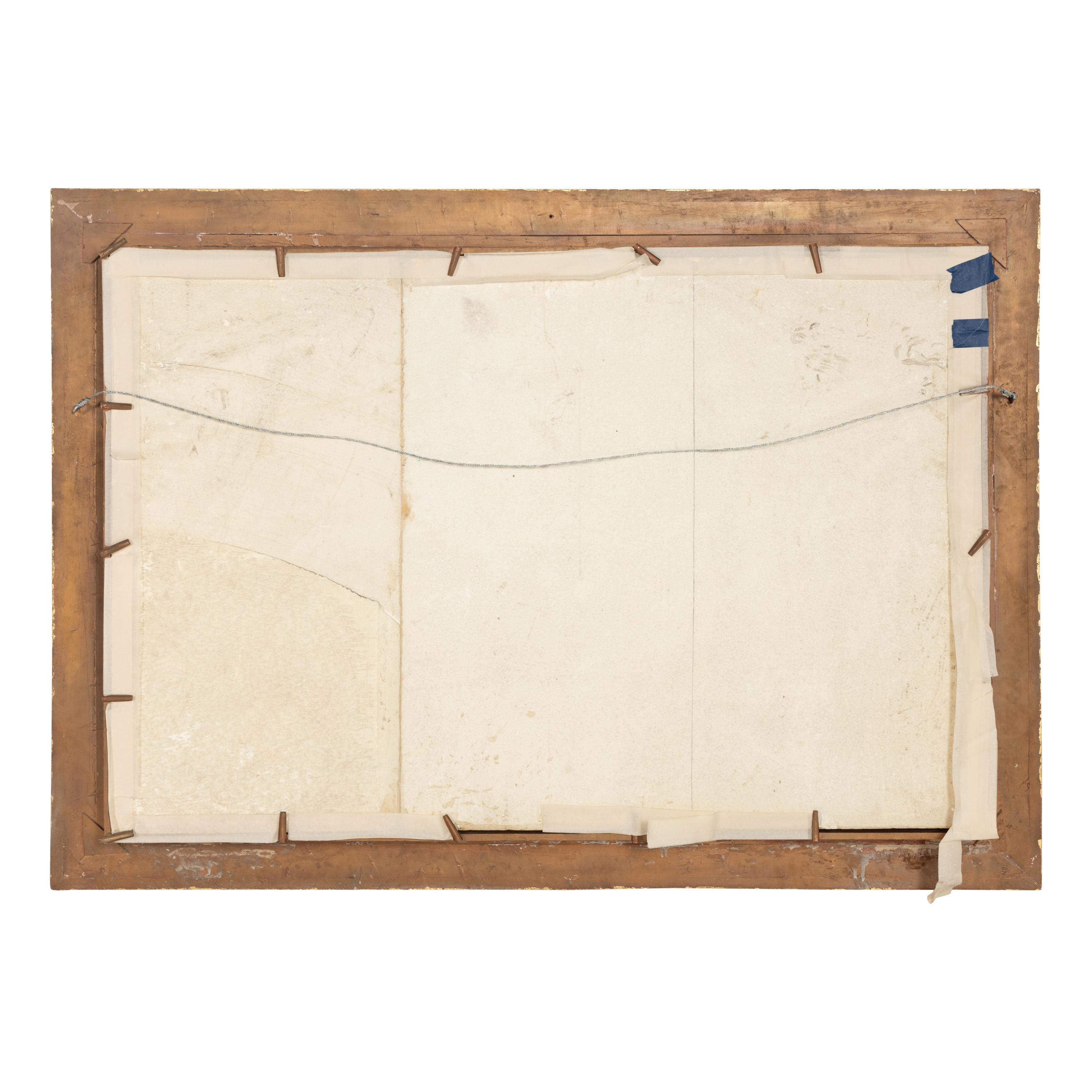 A Large Framed Lepidoptera Collection