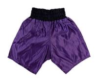 A Pair of Evander Holyfield Signed Autographed Boxing Trunks,