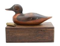 A Carved and Painted Wood Duck Mounted on a Cedar Lined Hinged Top Box Height 9 1/2 x width 12 x depth 6 inches. — 20TH CENTURY