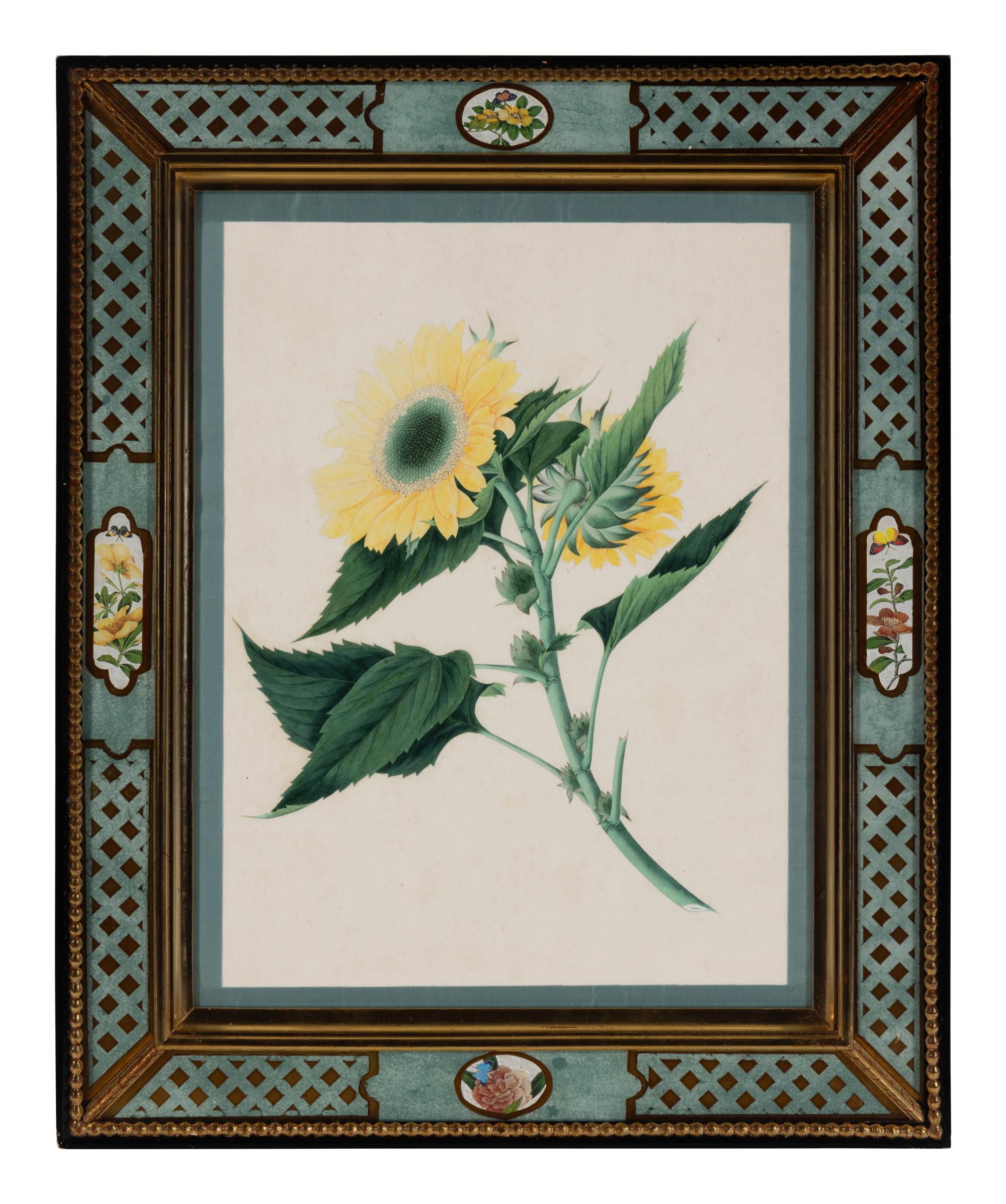 A Pair of Botanical Watercolor Illustrations in Reverse-Painted Glass Frames