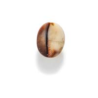 A Neoclassical Agate Cameo with a Male Portrait Head