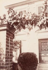 A group of three photographs ( Vigne, 1910 or earlier; Porte, avenue de Paris (Versailles) , 1922; Fontainebleau, cour ovale , 1903)