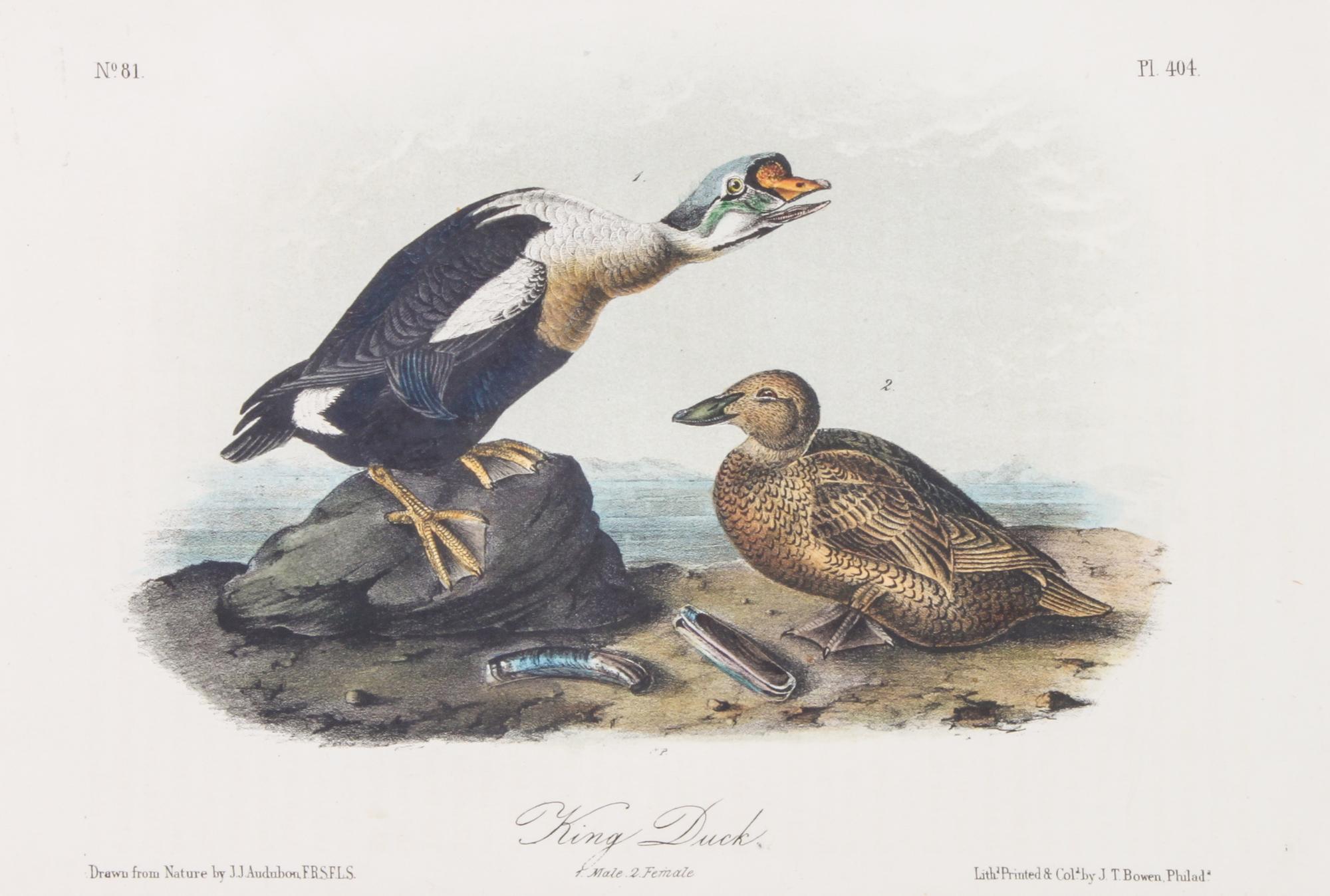 Audubon, John James, after Each approximately: 10 1/2 x 6 3/4 inches.
