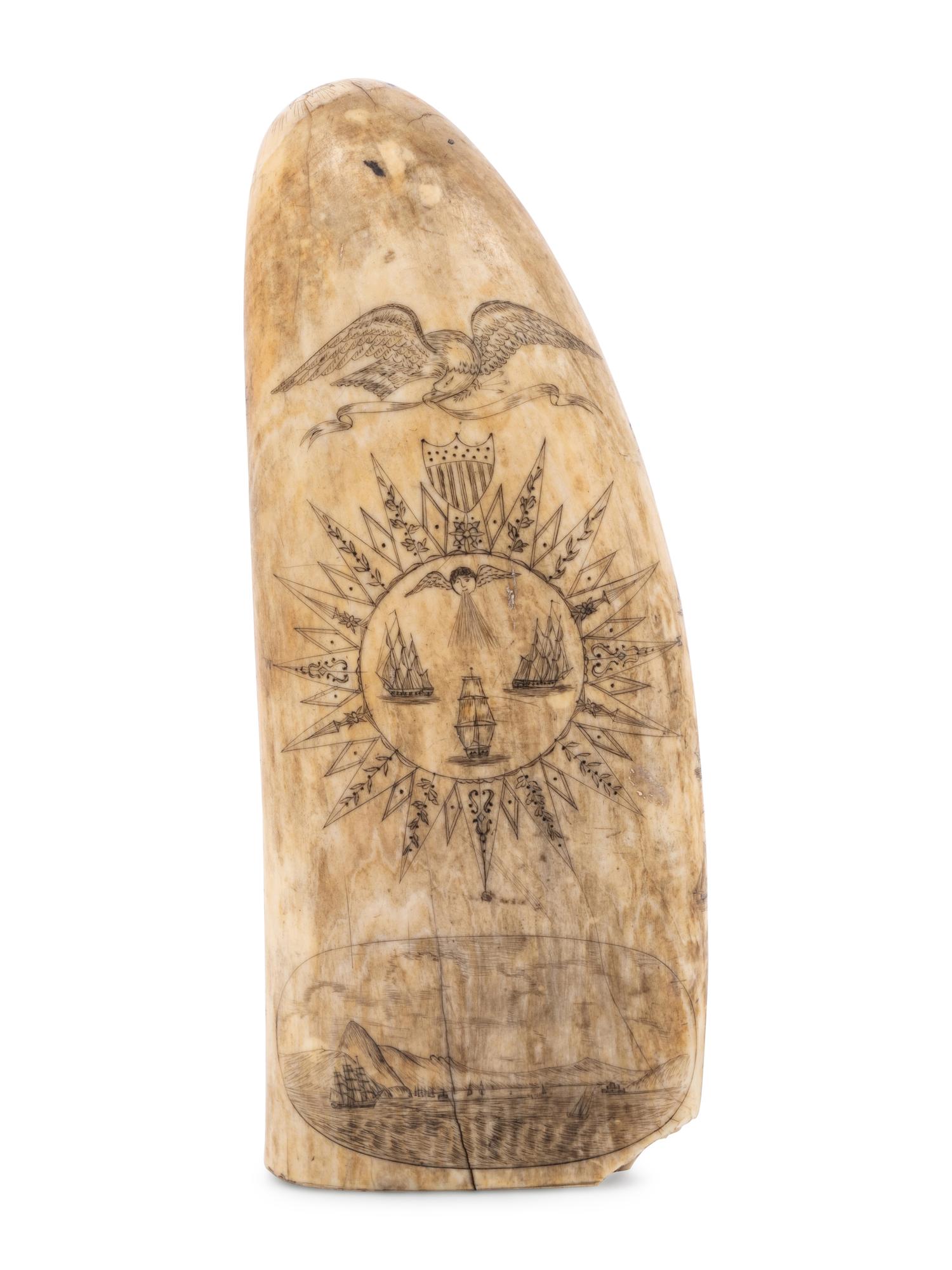 A Scrimshaw Whale Tooth