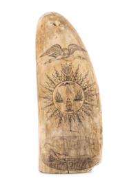 A Scrimshaw Whale Tooth