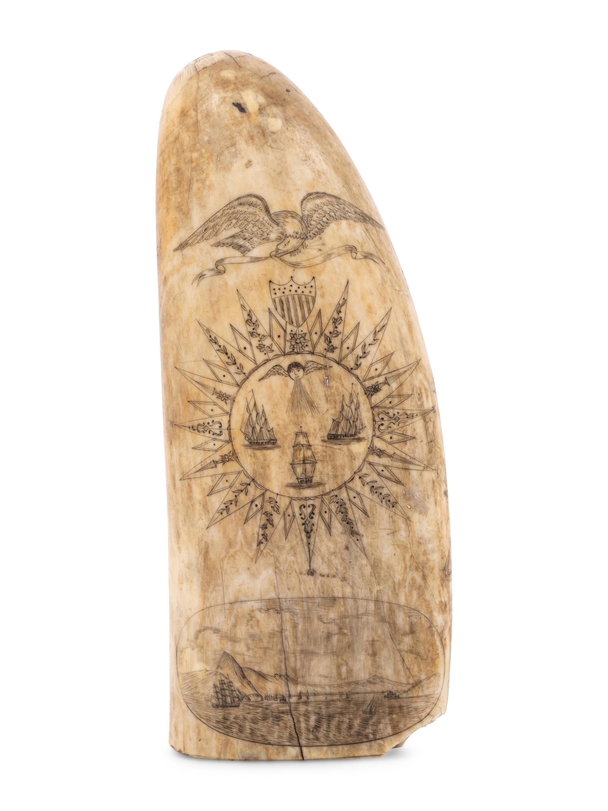 A Scrimshaw Whale Tooth