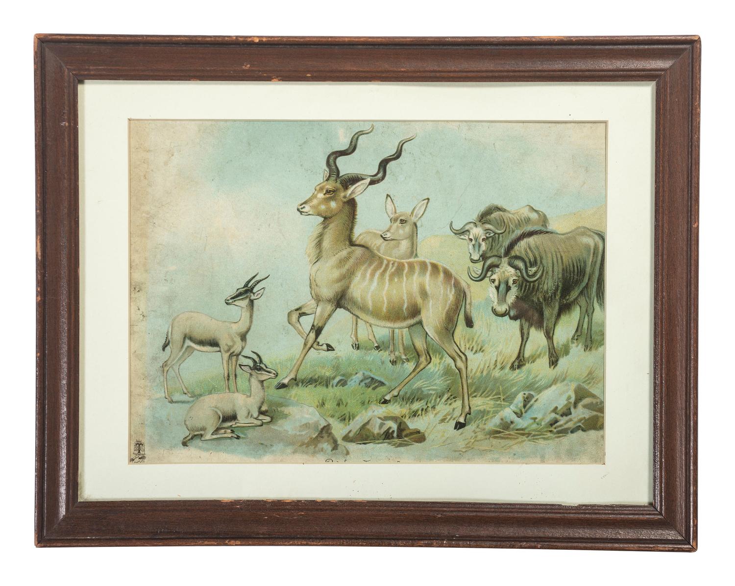A Raphael Tuck & Sons African Wildlife Print