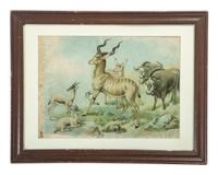 A Raphael Tuck & Sons African Wildlife Print