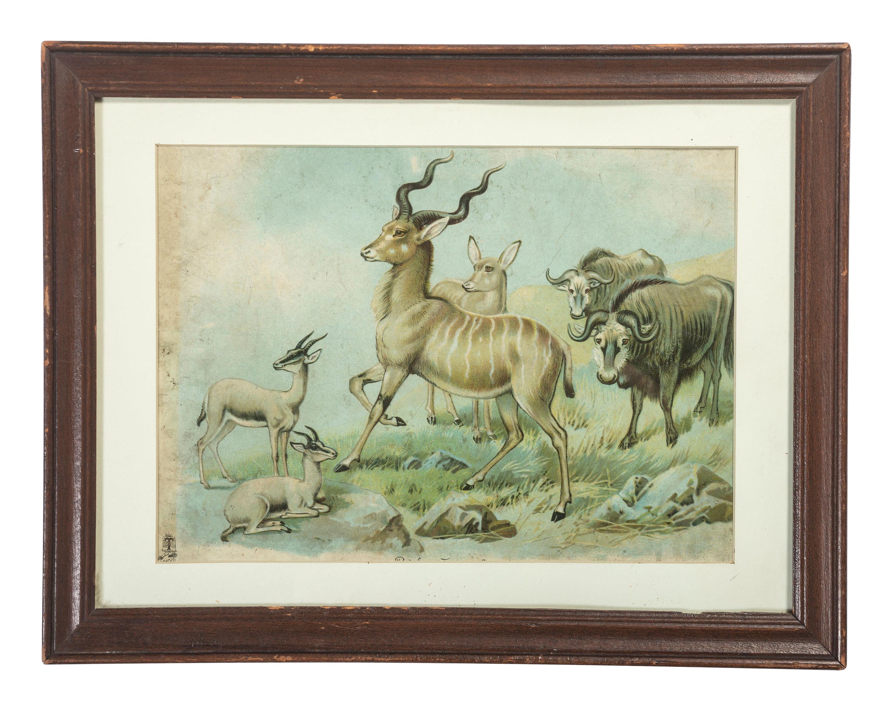 A Raphael Tuck & Sons African Wildlife Print