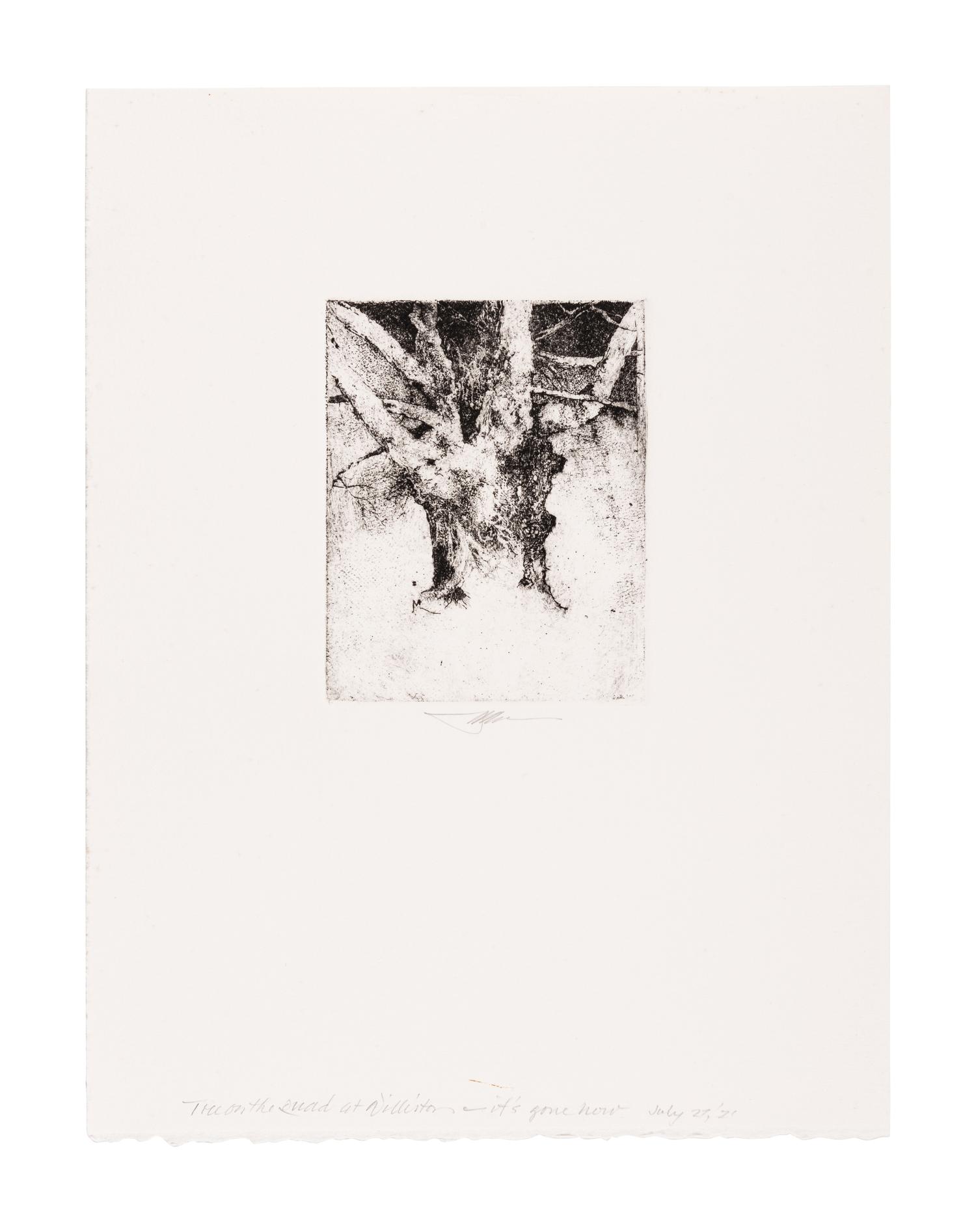MOSER, Barry. Tree on the Quad at Williston. [ca 1979]. 330 x 252 mm. Etching. Signed in pencil, captioned “Tree on the quad at Williston—it’s gone now / July 27/21”. — Williston Tree 1. [ca 1979]. 306 x 231 mm. Etching. Captioned and signed in pencil.