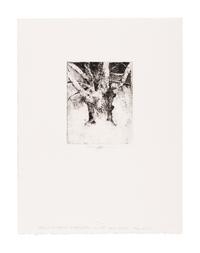 MOSER, Barry. Tree on the Quad at Williston. [ca 1979]. 330 x 252 mm. Etching. Signed in pencil, captioned “Tree on the quad at Williston—it’s gone now / July 27/21”. — Williston Tree 1. [ca 1979]. 306 x 231 mm. Etching. Captioned and signed in pencil.