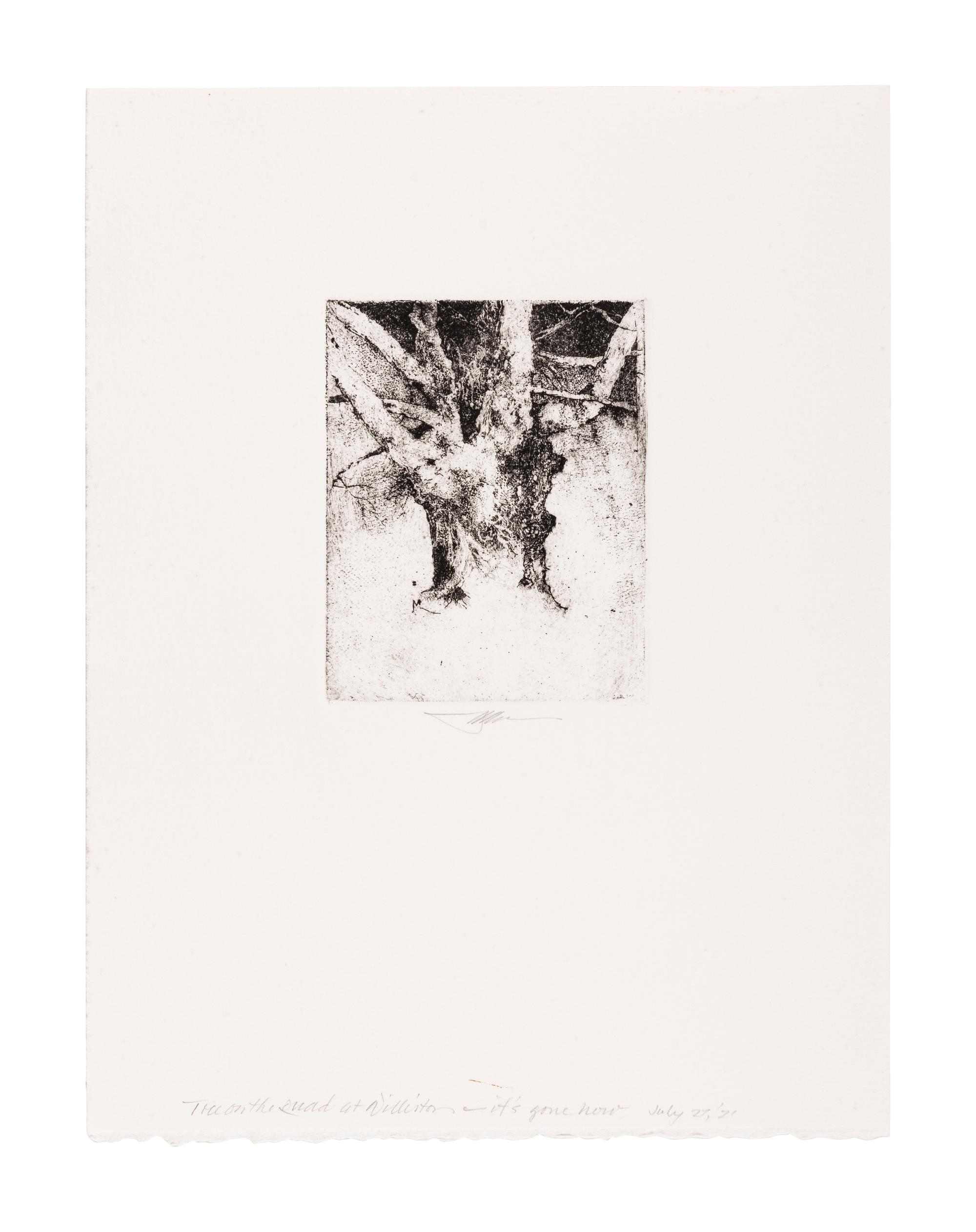MOSER, Barry. Tree on the Quad at Williston. [ca 1979]. 330 x 252 mm. Etching. Signed in pencil, captioned “Tree on the quad at Williston—it’s gone now / July 27/21”. — Williston Tree 1. [ca 1979]. 306 x 231 mm. Etching. Captioned and signed in pencil.