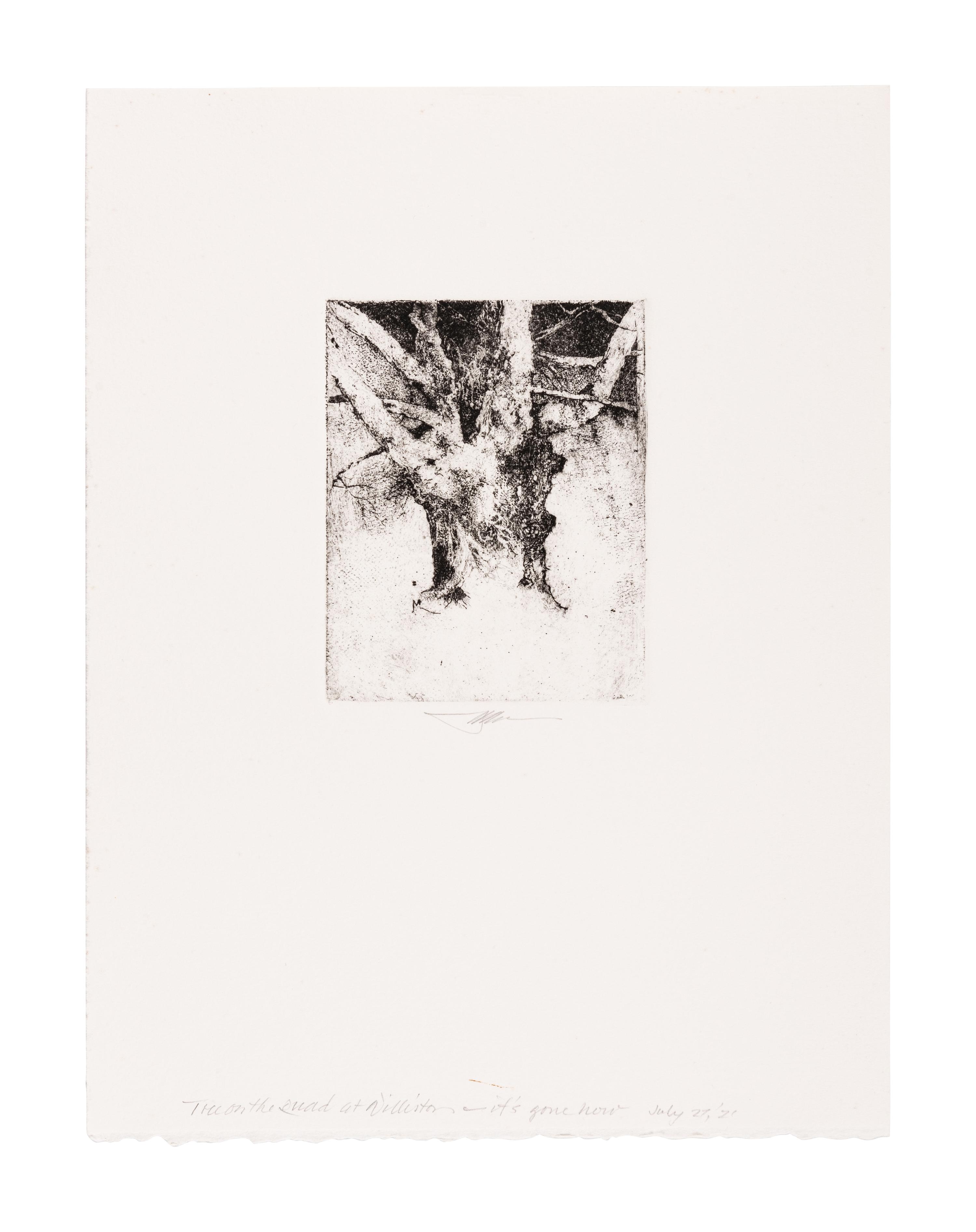 MOSER, Barry. Tree on the Quad at Williston. [ca 1979]. 330 x 252 mm. Etching. Signed in pencil, captioned “Tree on the quad at Williston—it’s gone now / July 27/21”. — Williston Tree 1. [ca 1979]. 306 x 231 mm. Etching. Captioned and signed in pencil.