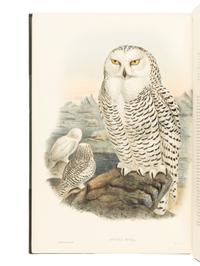 [NATURAL HISTORY]. GOULD, John (1804-1881). The Birds of Great Britain . London: Taylor and Francis, [1862-] 1873.