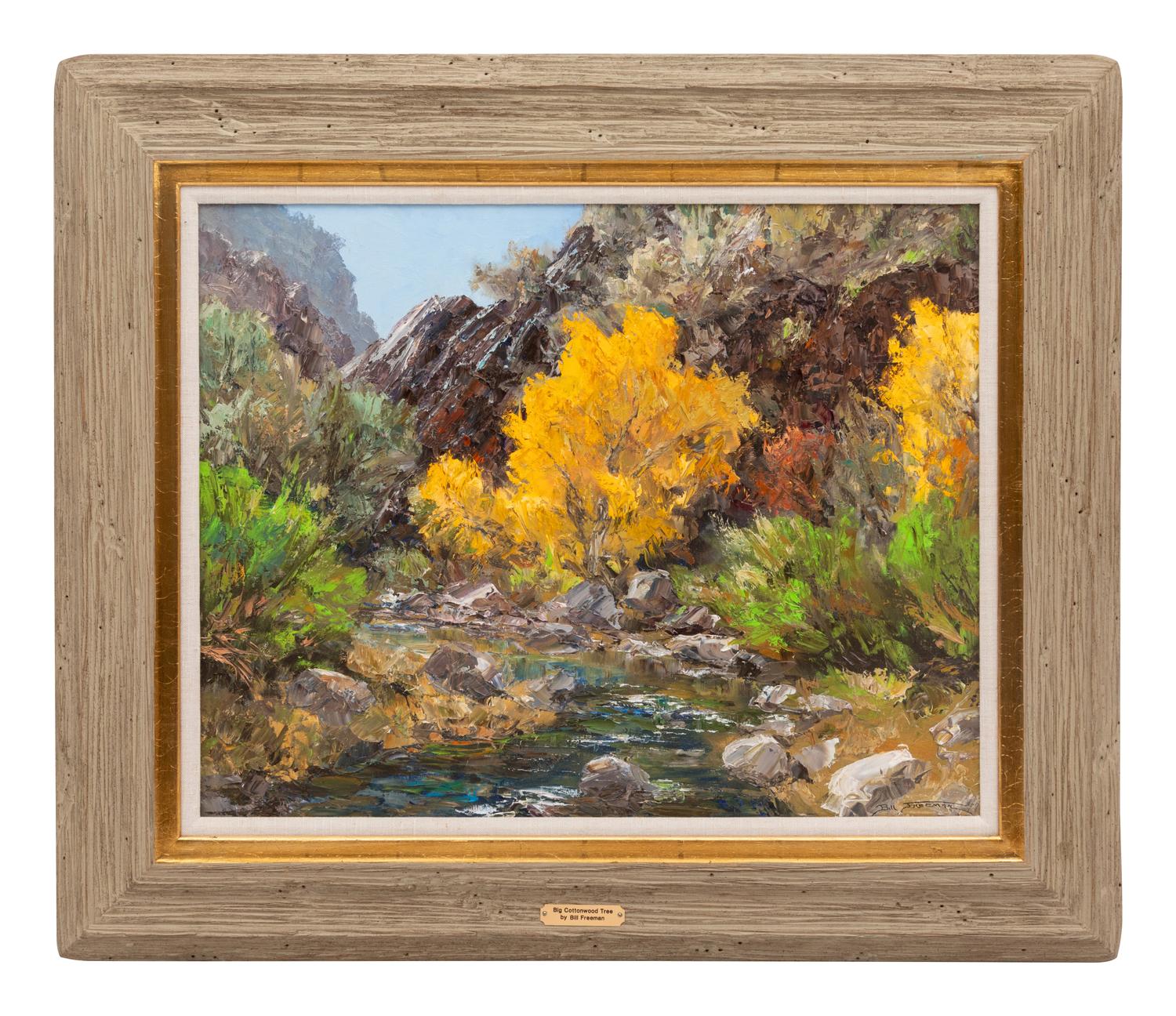 Big Cottonwood Tree