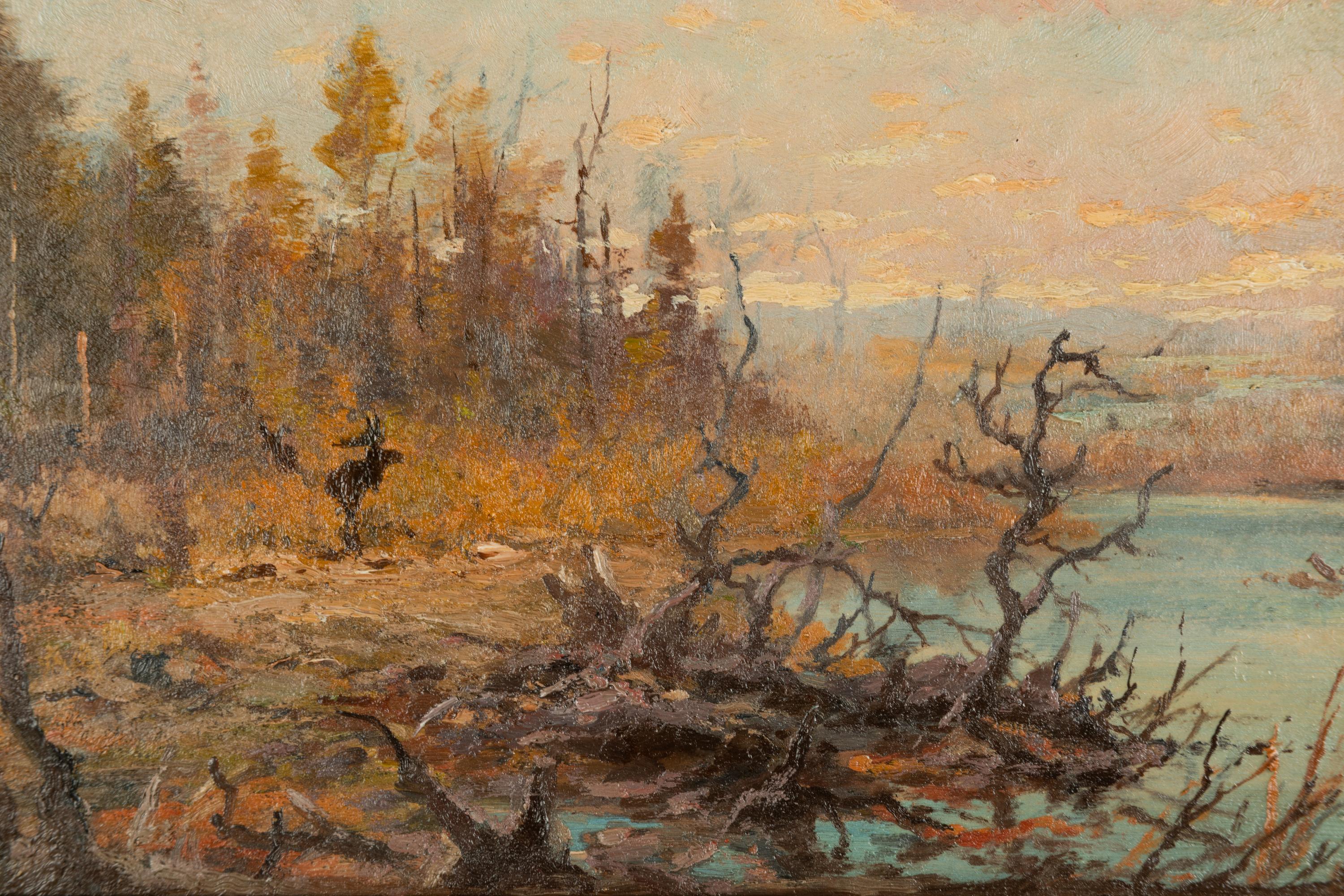 Fall in Minnesota