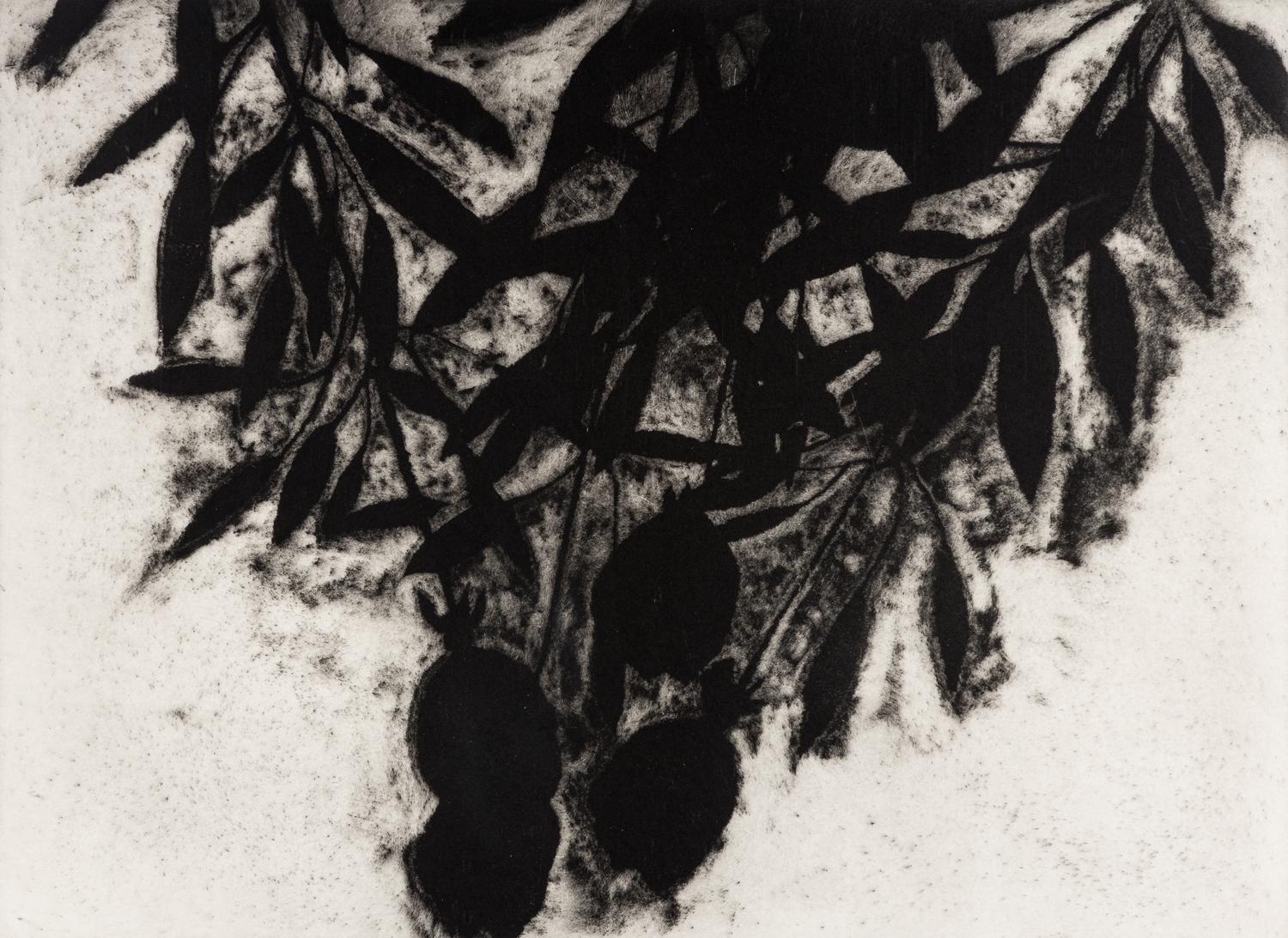 Black Roses, November 1989
