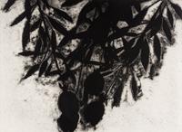 Black Roses, November 1989