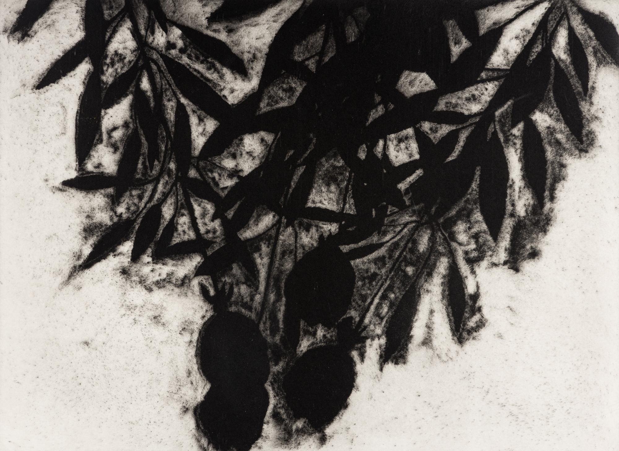Black Roses, November 1989
