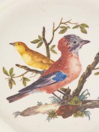 A Meissen Porcelain Ornithological Plate