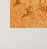 Untitled (from the Landfall Press 30th Anniversary portfolio)
